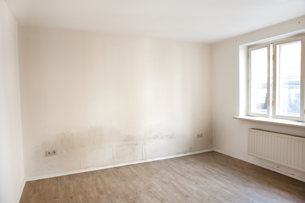 schimmel in de slaapkamer