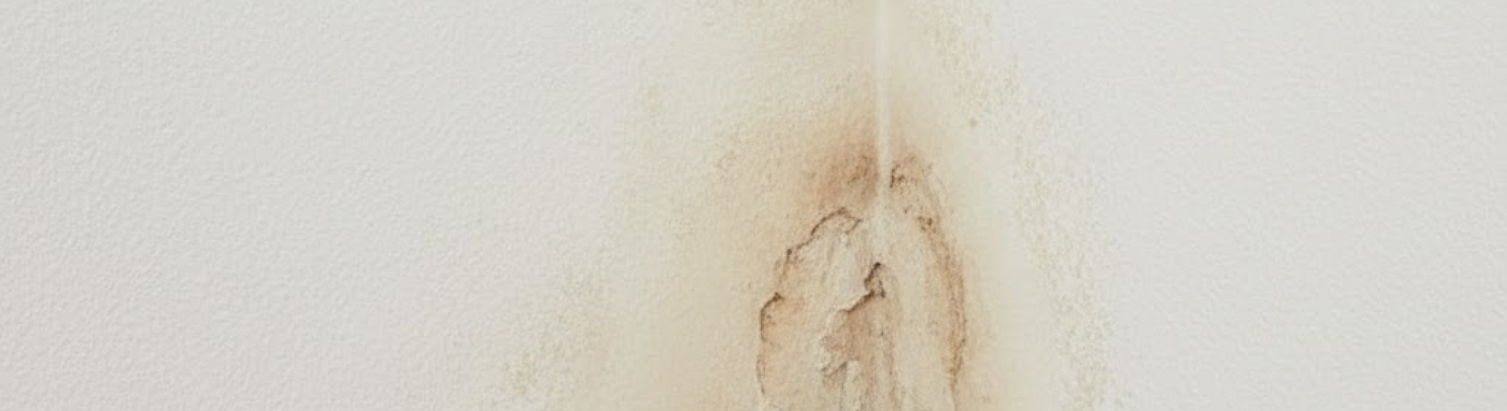 Vocht in muren herkennen? De ultieme gids voor een droog huis